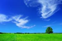 Welcome to Shorepower's Fresh Air